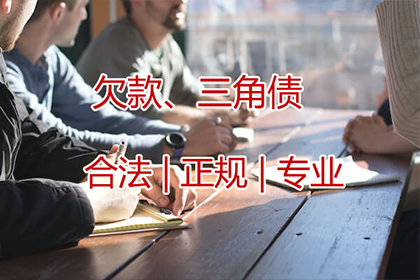 美团借款违约可能面临何种刑罚？